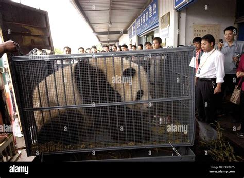 貴陽動物公園有哪些特色動物，並對其進行深入探討